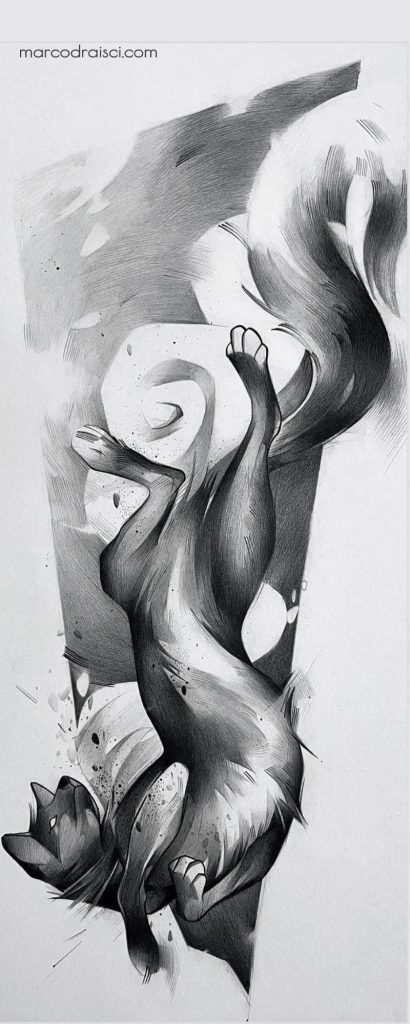 Disegno di Marco Draisci scoiattolo